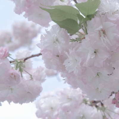 遵义福瑞交流群